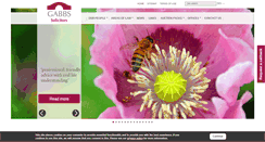 Desktop Screenshot of gabbs.biz